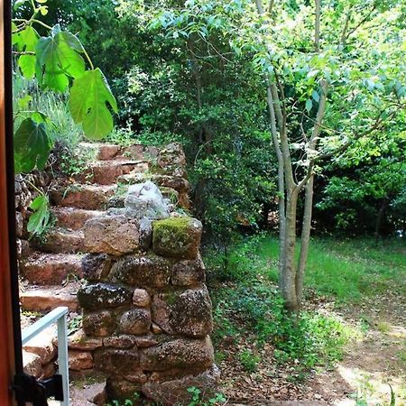 Belle Et Grande Maison Ardechoise Payzac (Ardeche) Exterior foto