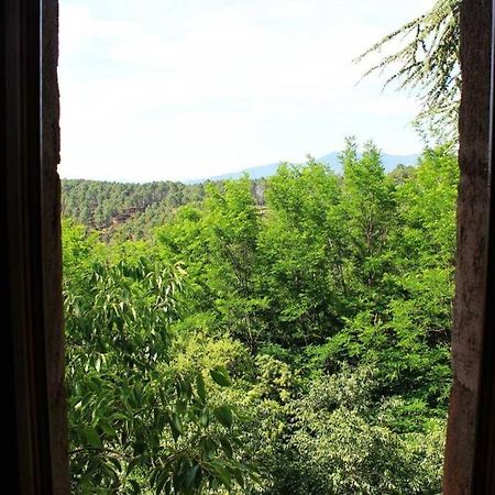 Belle Et Grande Maison Ardechoise Payzac (Ardeche) Exterior foto