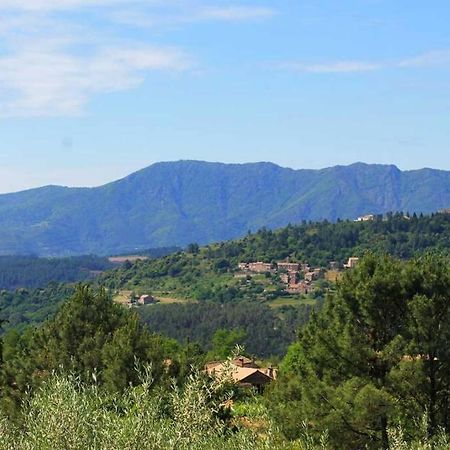 Belle Et Grande Maison Ardechoise Payzac (Ardeche) Exterior foto