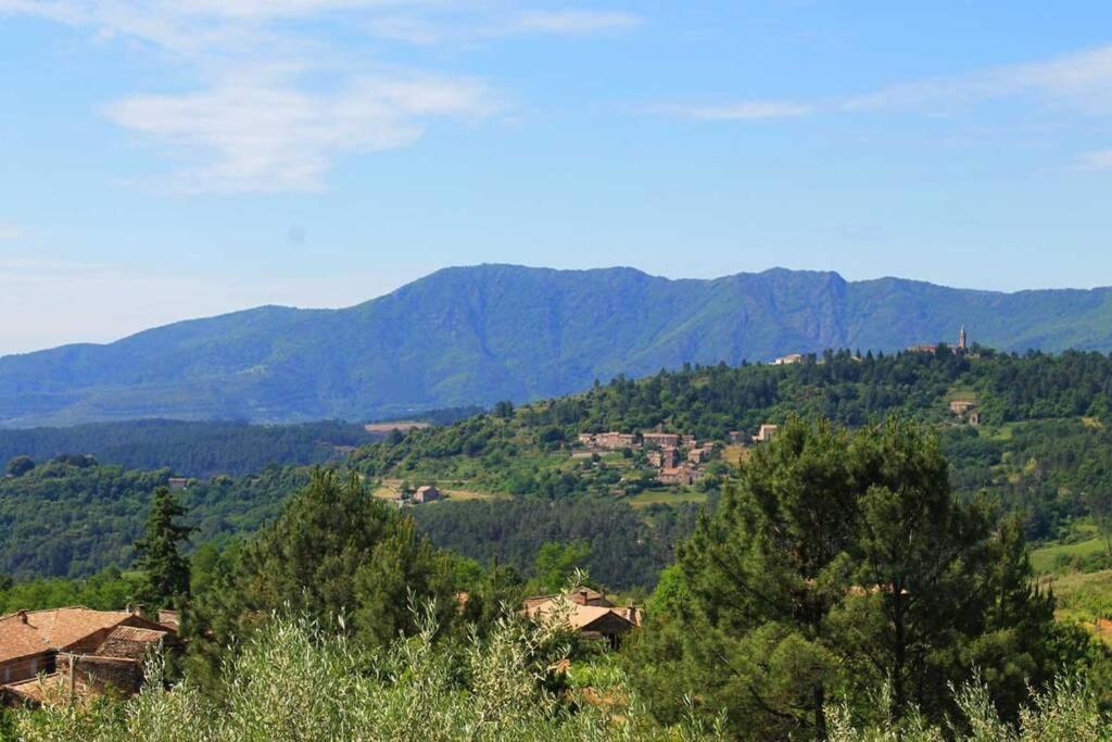 Belle Et Grande Maison Ardechoise Payzac (Ardeche) Exterior foto